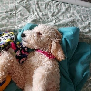 Meet your Posher, Megan